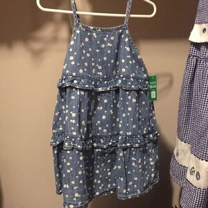 NWT baby GAP denim floral dress